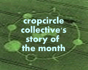 Cropcircle Collective Story of the Month
